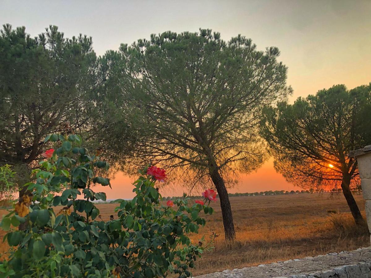 Masseria Casina Montana Corigliano dʼOtranto Eksteriør billede