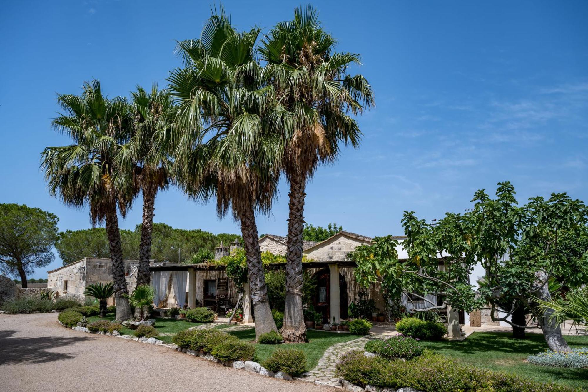 Masseria Casina Montana Corigliano dʼOtranto Eksteriør billede