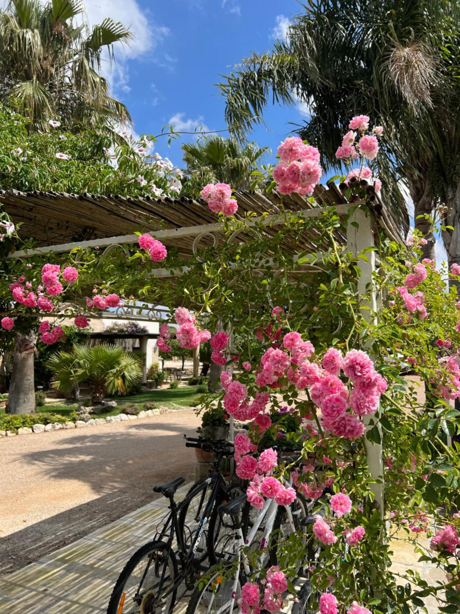 Masseria Casina Montana Corigliano dʼOtranto Eksteriør billede