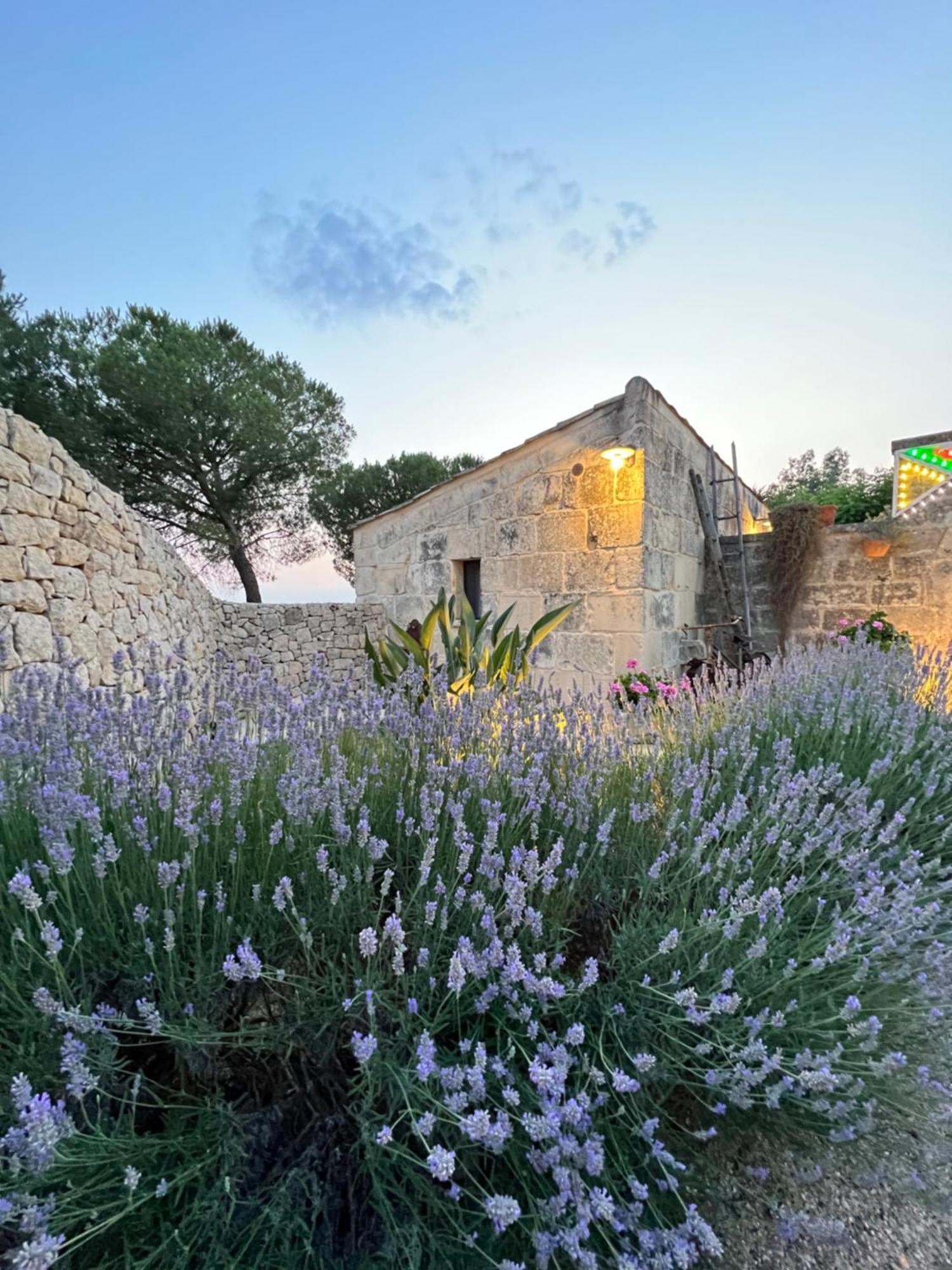 Masseria Casina Montana Corigliano dʼOtranto Eksteriør billede